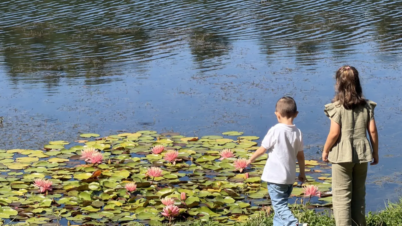 Two children at the edge of a lake, pink water lilies open among green pads on the surface